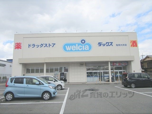 ドラックストア　ダックス亀岡大井店（ドラッグストア）まで450m