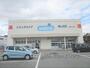 ドラックストア　ダックス亀岡大井店（ドラッグストア）まで450m