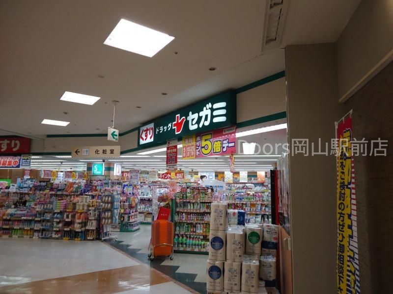ドラックストア　ココカラファインドラッグセガミツシマモール店（ドラッグストア）まで833m