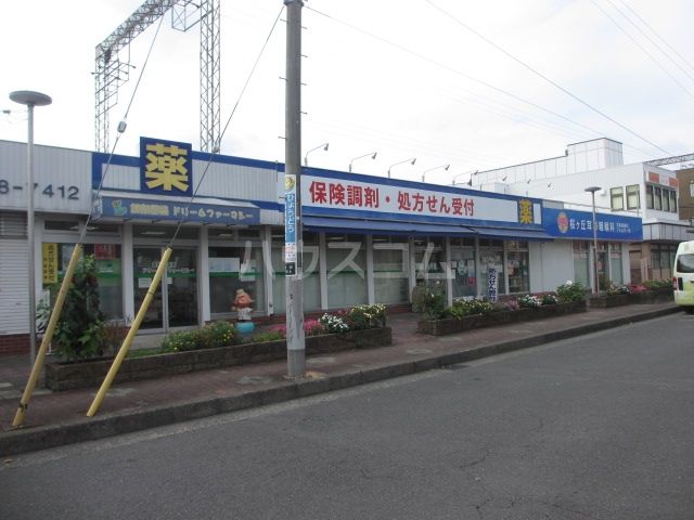病院　株式会社ジェムス　ドリームファーマシー　桜ヶ丘店（病院）まで1213m