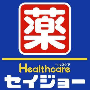ドラックストア　くすりセイジョー横浜元町店（ドラッグストア）まで429m
