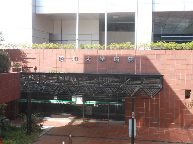 病院　昭和大学病院（病院）まで1213m
