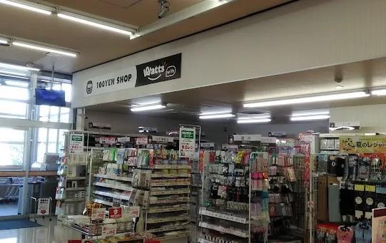 スーパー　ワッツウィズ元八王子TAIRAYA店（スーパー）まで1176m