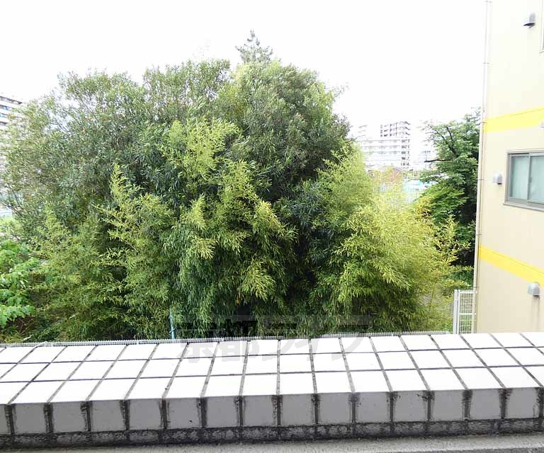眺望　・２０６号室からの眺望です