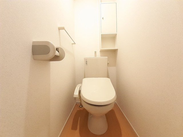 富山地鉄不二越上滝 大泉駅 徒歩27分 2階建 築12年のトイレ写真