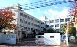 小学校　高槻市立真上小学校（小学校）まで471m