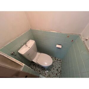 林マンションのトイレ写真