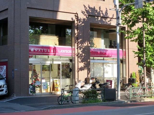 コンビニ　ナチュラルローソン乃木坂店（コンビニ）まで702m