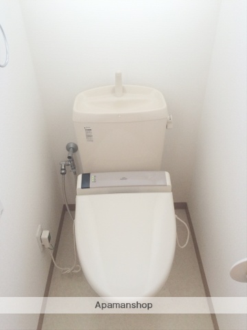 ＪＲ高崎線 高崎駅 徒歩9分 2階建 築17年のトイレ写真