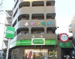 幼稚園・保育園　ピノキオ幼児舎氷川台園（幼稚園・保育園）まで745m