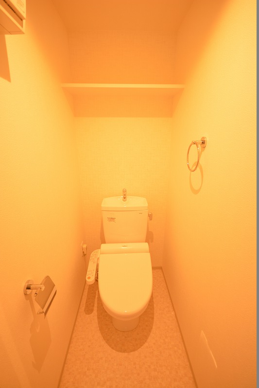レジュールアッシュ松屋町のトイレ写真