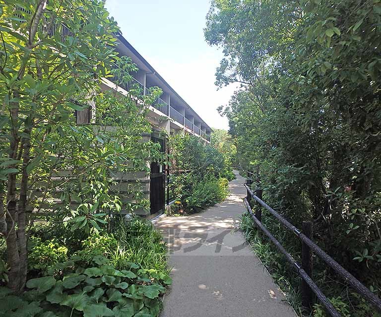 庭