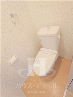 埼玉高速鉄道 鳩ケ谷駅 徒歩13分 2階建 築11年のトイレ写真