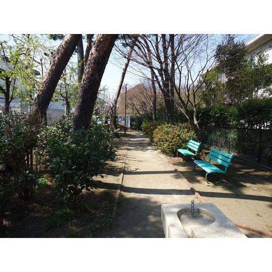 公園　まつぼっくり緑地（公園）まで1219m