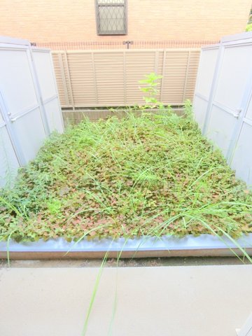 眺望　展望