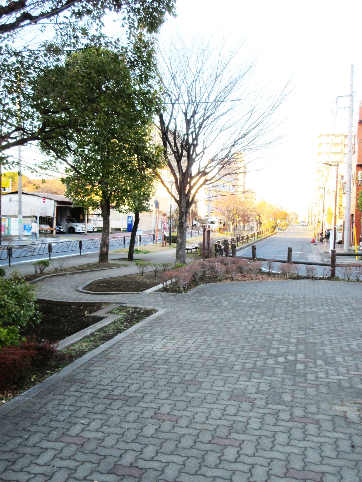 公園　曳舟川親水公園（公園）まで339m