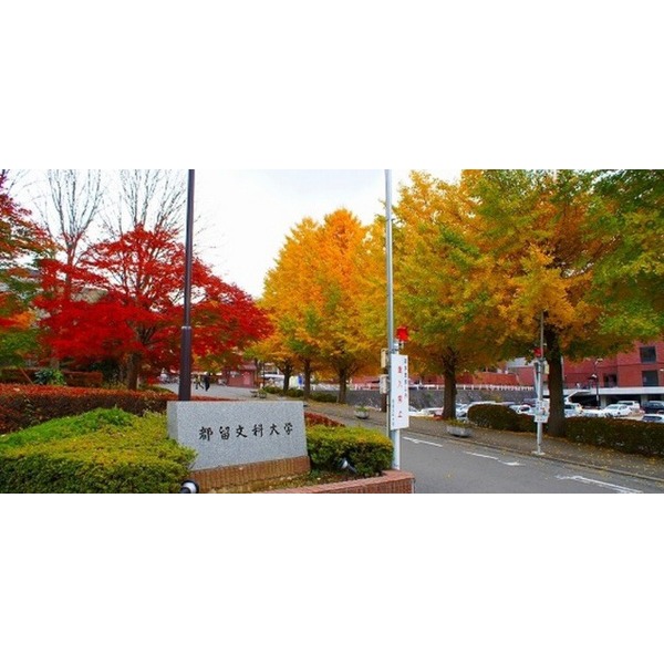 大学・短大　都留文科大学（大学・短大）まで700m