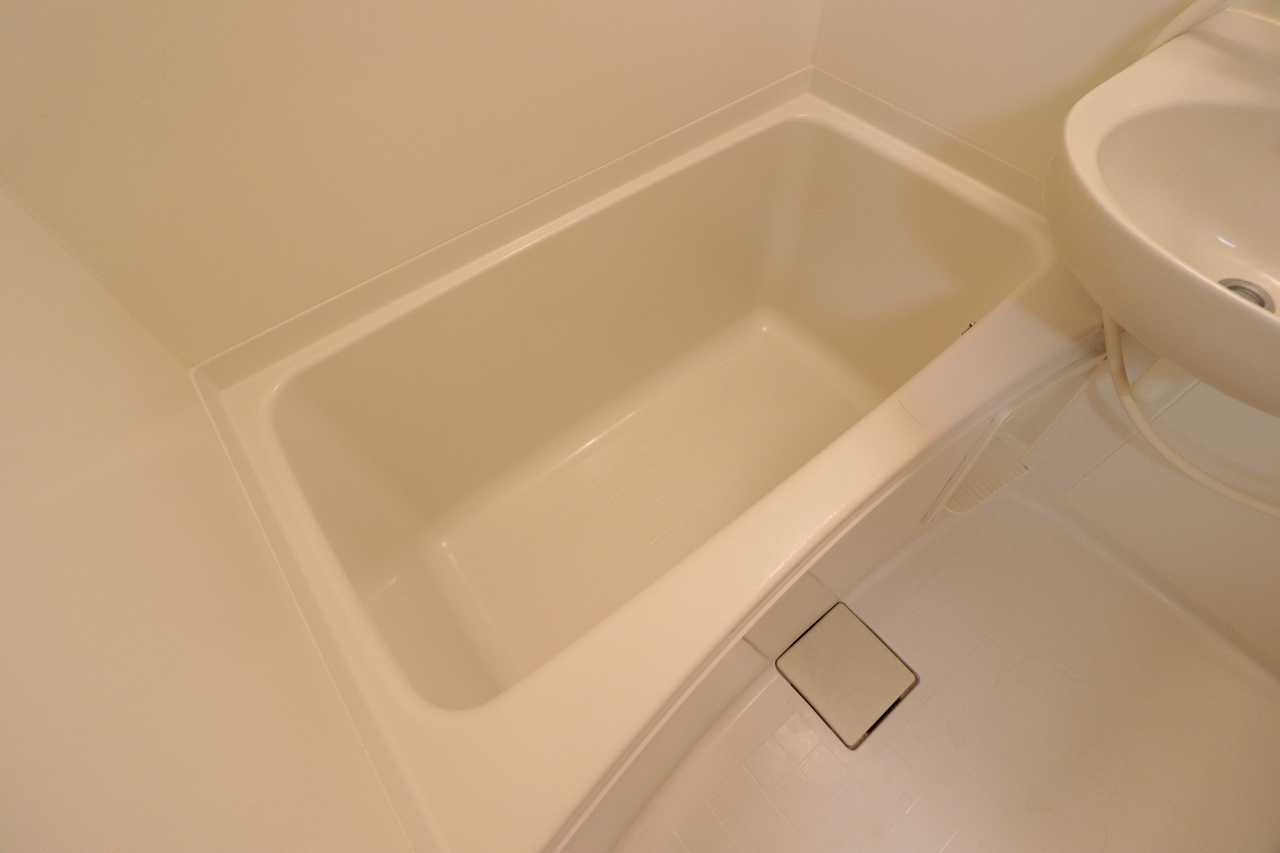 バス・シャワールーム　※同物件、別部屋になります。