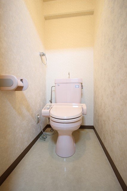 トイレ　同物件別号室の写真