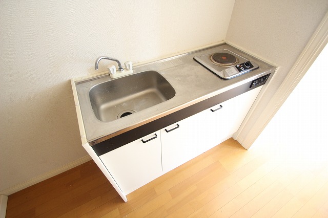 キッチン　同物件、別号室のものです。
