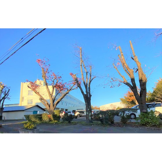 中学校　登別市立幌別中学校（中学校）まで1209m