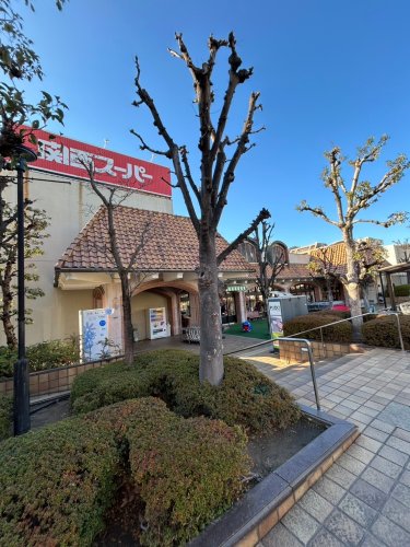 スーパー　関西スーパー 苦楽園店（スーパー）まで349m