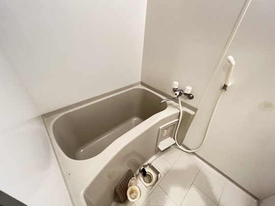 バス・シャワールーム　※別部屋の写真です