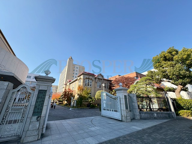 高校・高専　樟蔭高等学校（高校・高専）まで491m