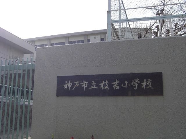 小学校　枝吉小学校（小学校）まで348m