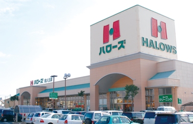 スーパー　ハローズ田ノ上店（スーパー）まで1022m