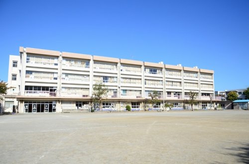 小学校　杉森小学校（小学校）まで262m