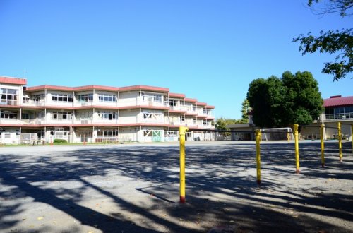 小学校　染地小学校（小学校）まで656m