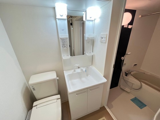 洗面設備　※別部屋の写真です