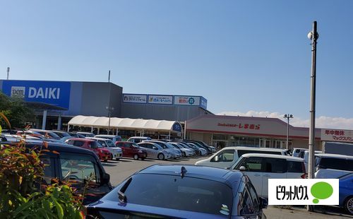 ホームセンター　ＤＣＭダイキ明石店（ホームセンター）まで1077m