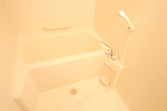 バス・シャワールーム　※別部屋の写真です