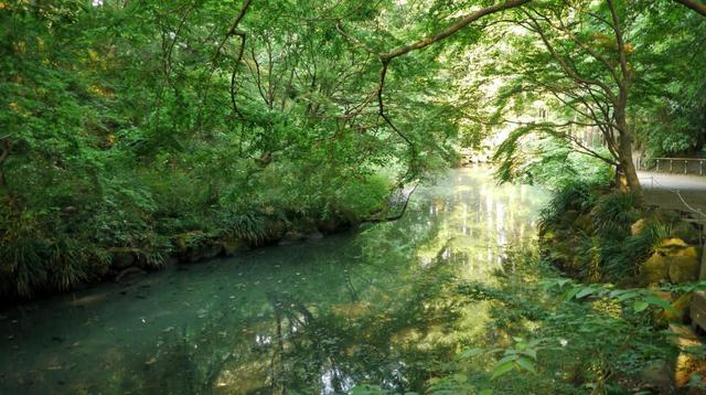 公園　生田緑地（公園）まで347m