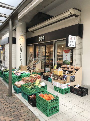 スーパー　八百屋の九ちゃん 吉塚店（スーパー）まで501m