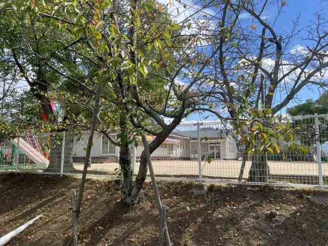 幼稚園・保育園　いろは保育園桜が丘（幼稚園・保育園）まで640m