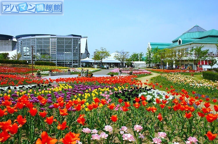 ショッピングセンター　ふるさと村バザール館（ショッピングセンター）まで1152m