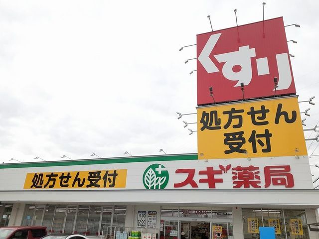 ドラックストア　スギ薬局様（ドラッグストア）まで1000m