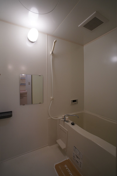 バス・シャワールーム　同じ建物の別なお部屋