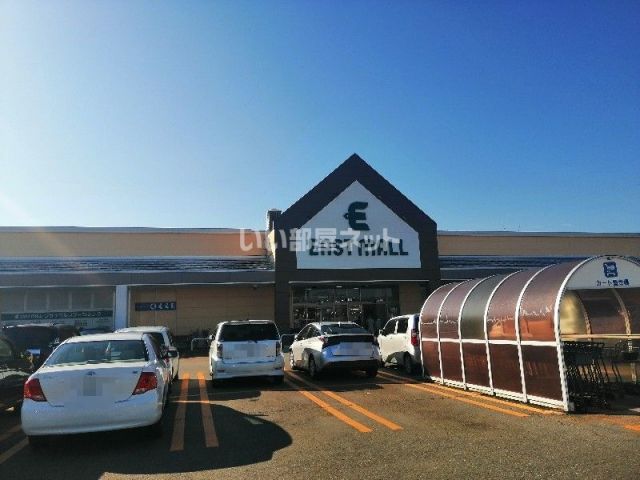 スーパー　タカヤナギイーストモール（スーパー）まで1100m