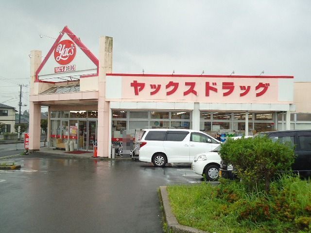 ドラックストア　ヤックスドラッグ袖ヶ浦店（ドラッグストア）まで1100m