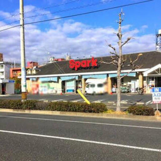 スーパー　スパーク観音店（スーパー）まで373m