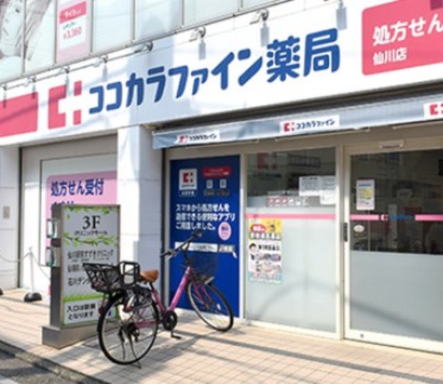 ドラックストア　ココカラファイン仙川店（ドラッグストア）まで313m