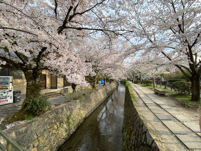 その他　哲学の道（その他）まで150m