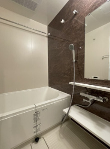 バス・シャワールーム　プローシュ