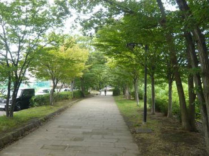 公園　港北ニュータウン緑道３号（公園）まで130m