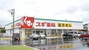 ドラックストア　スギ薬局岩槻駅東口店（ドラッグストア）まで2739m
