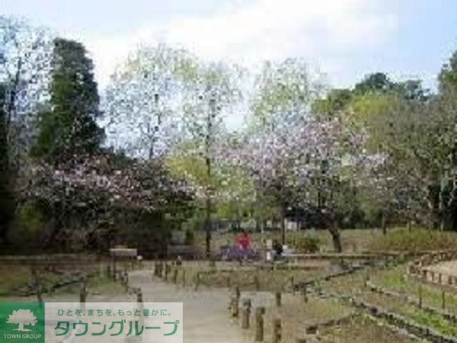 公園　藤崎緑地（公園）まで805m